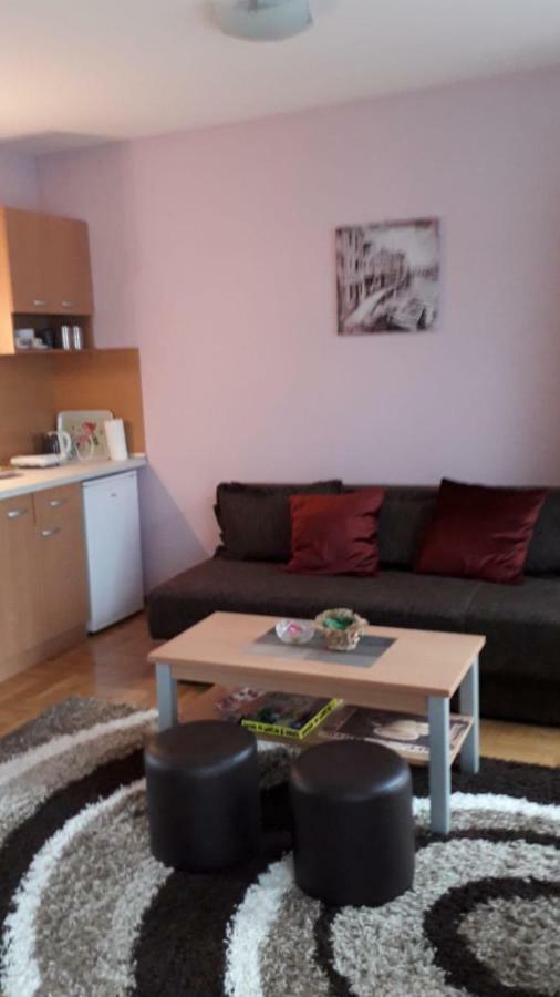 Apartmani V&F Vrnjačka Banja Exterior foto